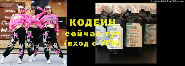 spice Бородино