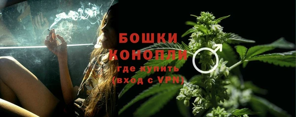spice Бородино