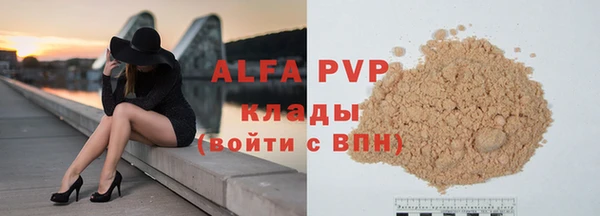 spice Бородино