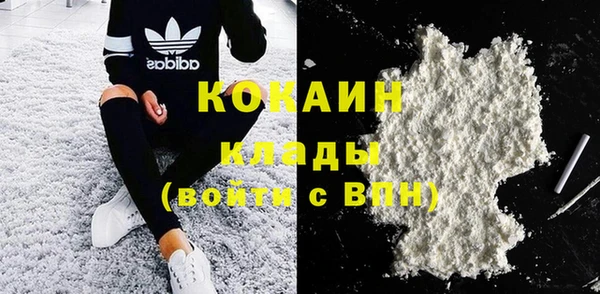 бошки Бронницы