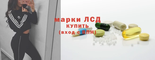 spice Бородино