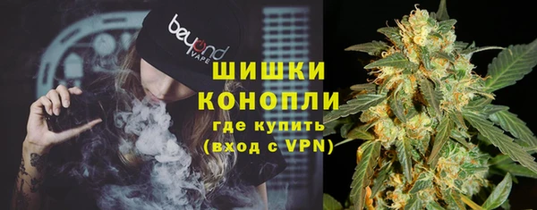 бошки Бронницы