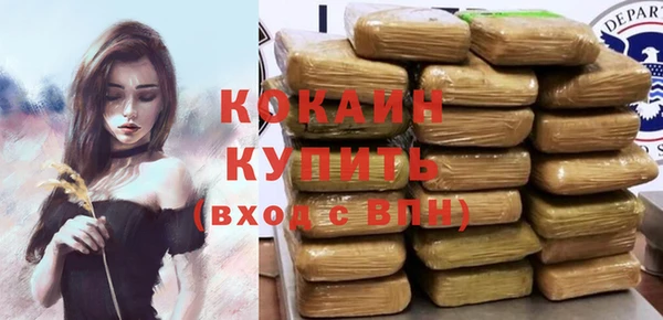 spice Бородино