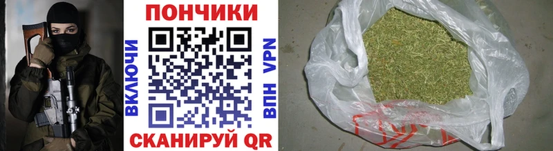 Бошки марихуана сатива  где купить наркоту  Красавино 
